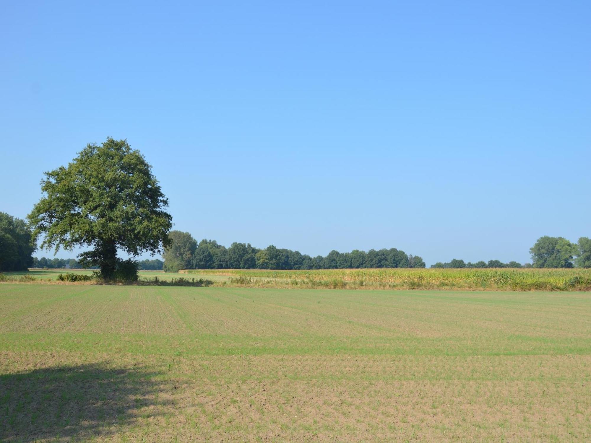Authentic Holiday Home With View Geesteren (Gelderland) Exterior foto