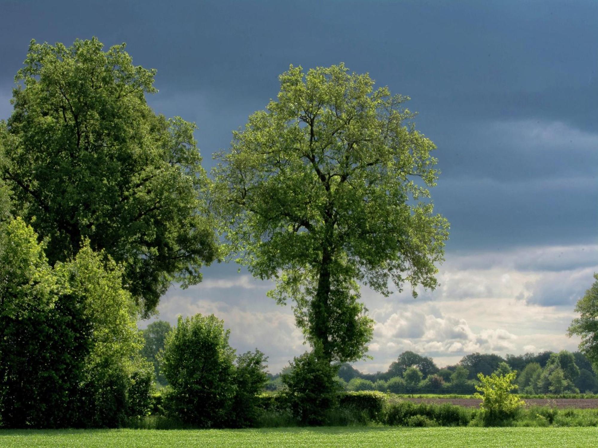 Authentic Holiday Home With View Geesteren (Gelderland) Exterior foto